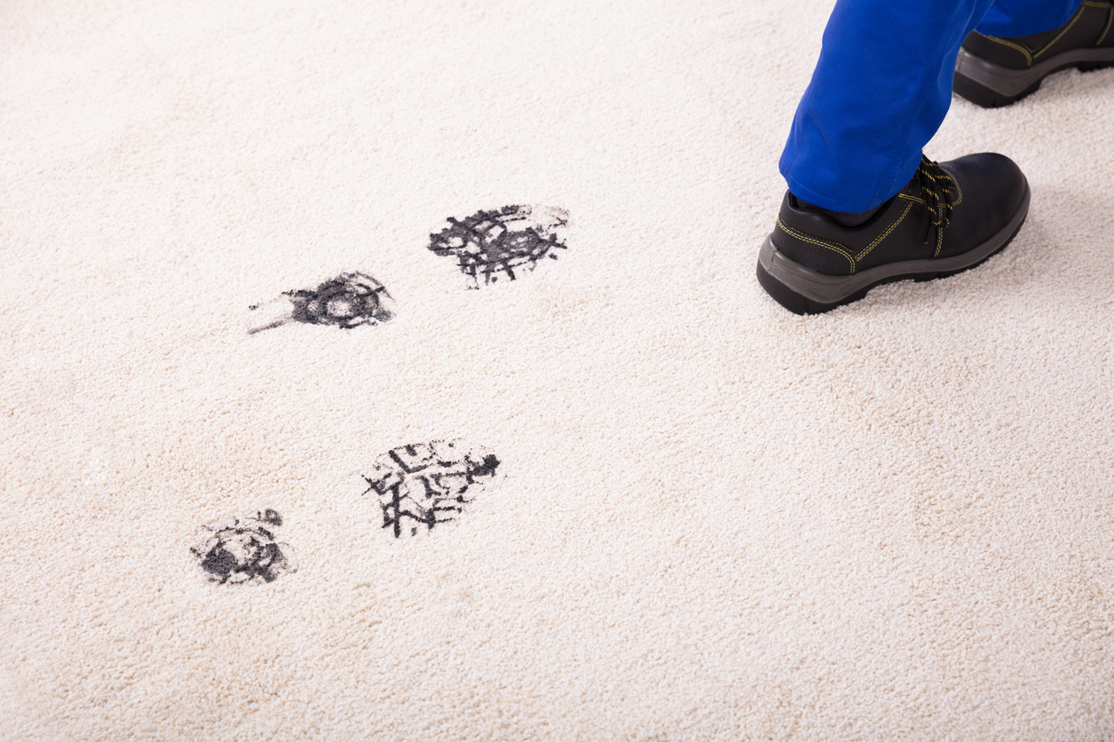 How to Protect your Floors and Carpet on Moving Day